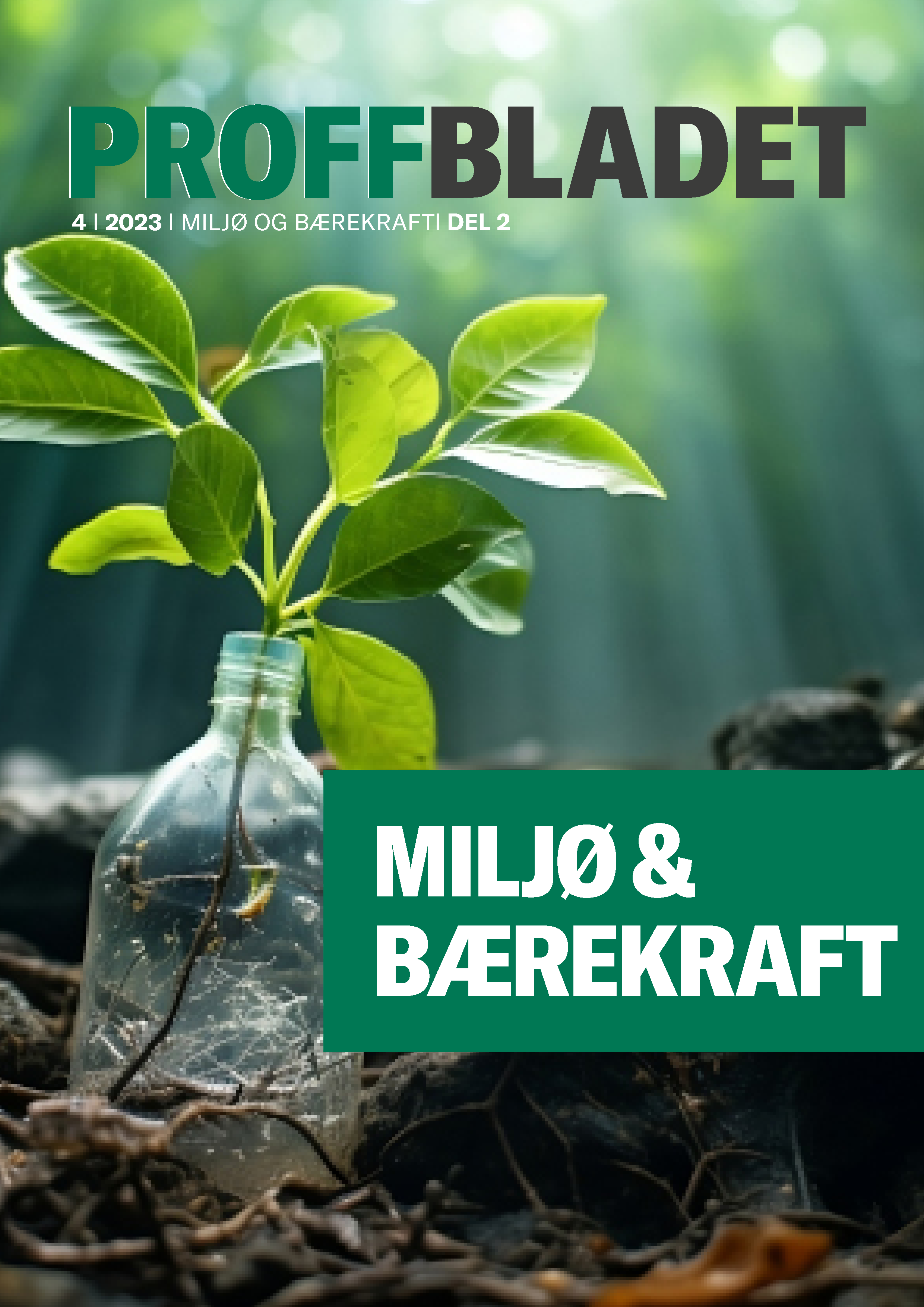 Skog vekst stikling bærekraft grønt miljø