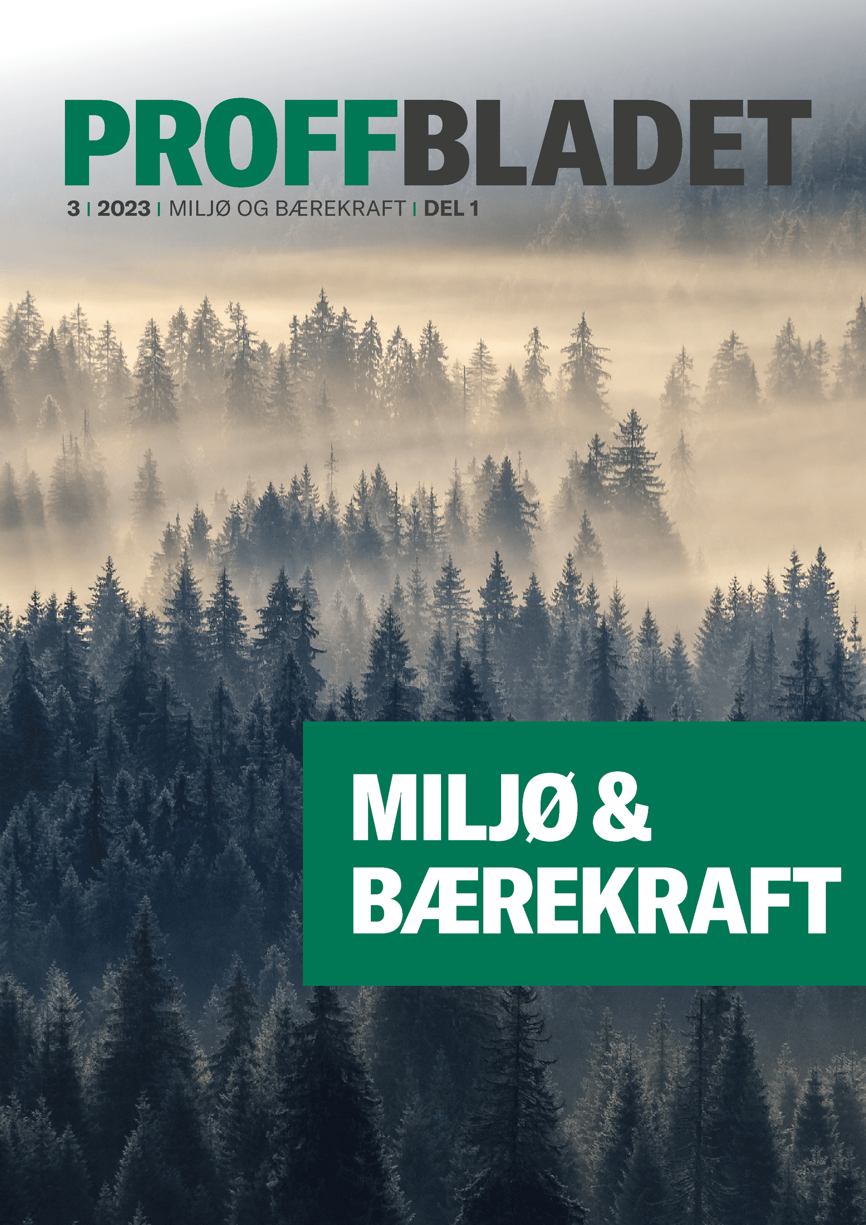 Skog tåke miljø bærekraft Neumann Bygg