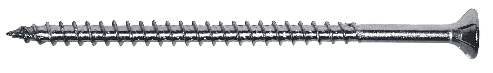 49137563